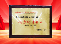 喜讯丨DB真人旗舰 DB数据获评2024~2025年度武汉市软件行业&ldquo;优秀企业&rdquo;、&ldquo;优秀工作者&rdquo;荣誉称号！